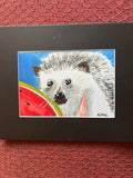 Charming Creatures — 8×10 Small Format Collection